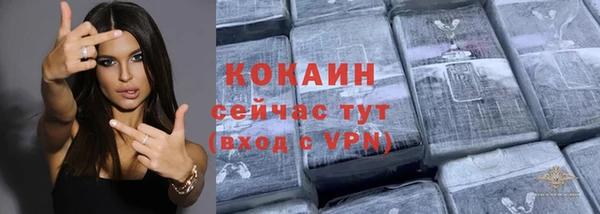 дмт Осинники