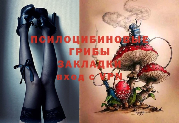 дмт Осинники