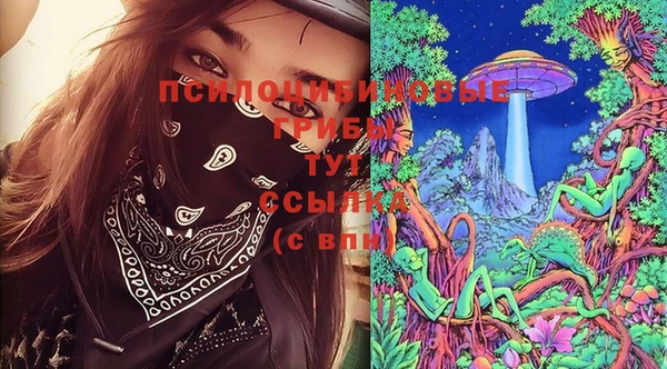 дмт Осинники